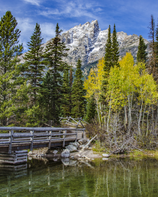 Jenny Lake Splendor - Color Print - Name Withheld Per Request