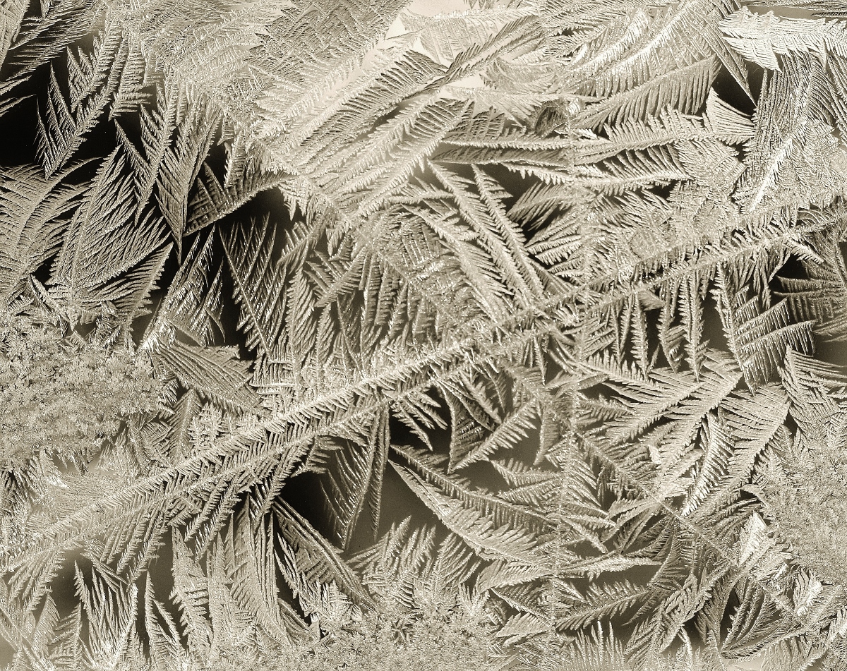 Frost on Glass - Monochrome Print - Name Withheld Per Request