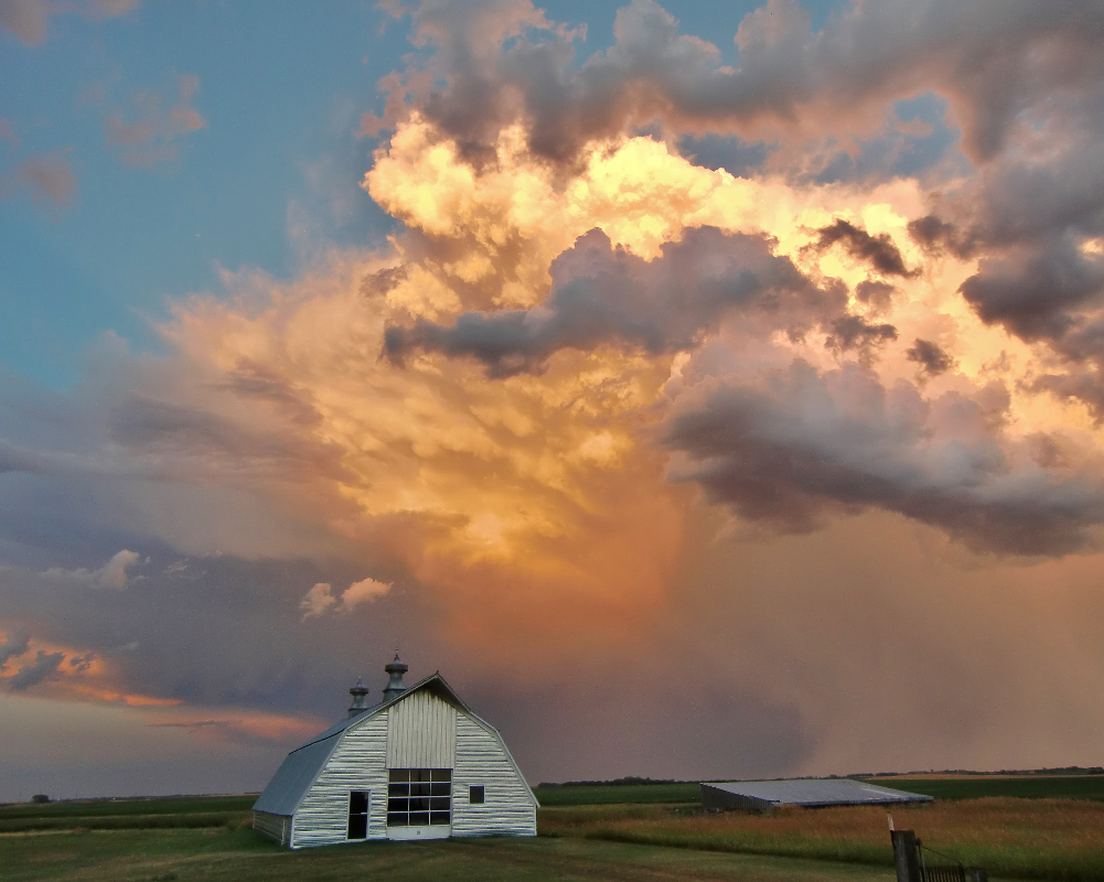 Silver Lining - Color Print - Name Withheld Per Request