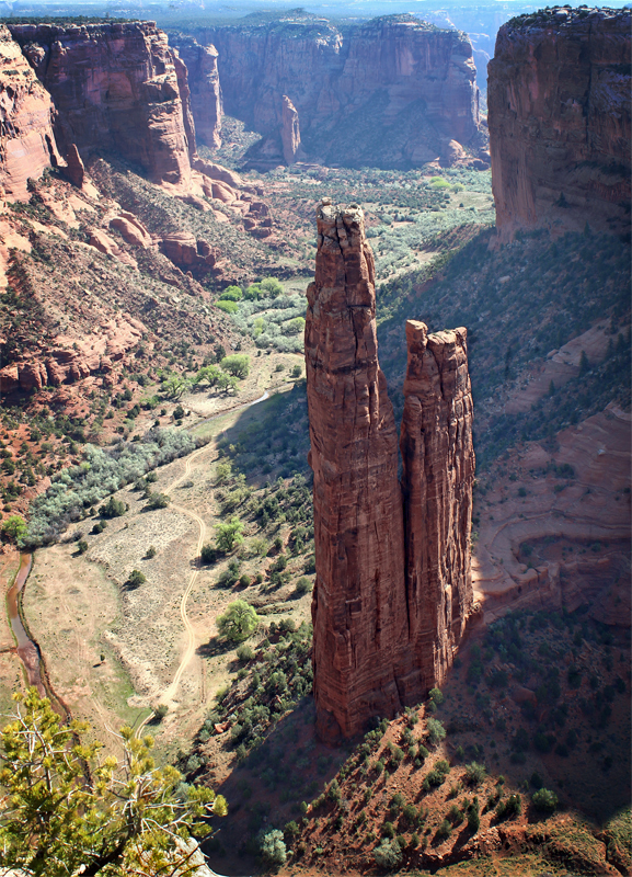 Spider Woman Rock - Digital(From Above) - Name Withheld Per Request