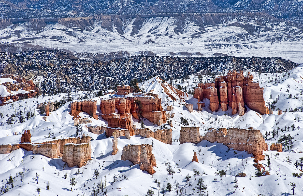 Bryce Canyon Overlook - Digital(Realistic) - Name Withheld Per Request