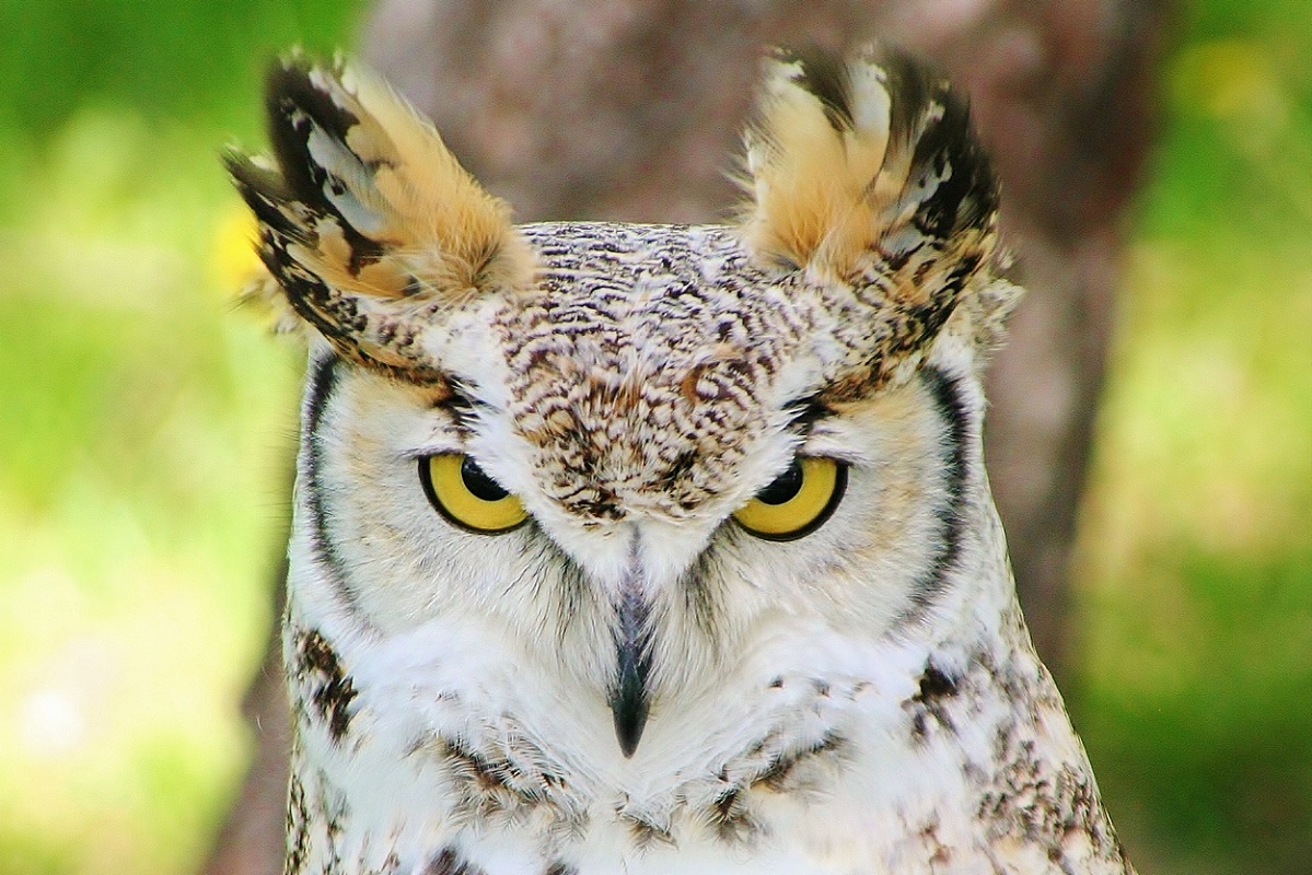 I Can See You - Digital(Realistic) - Name Withheld Per Request