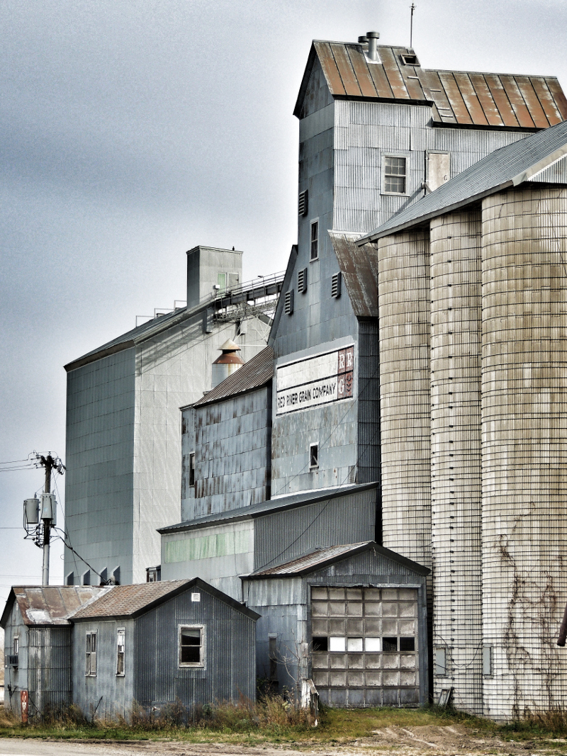 Harvest Memories - Color Print - Name Withheld Per Request