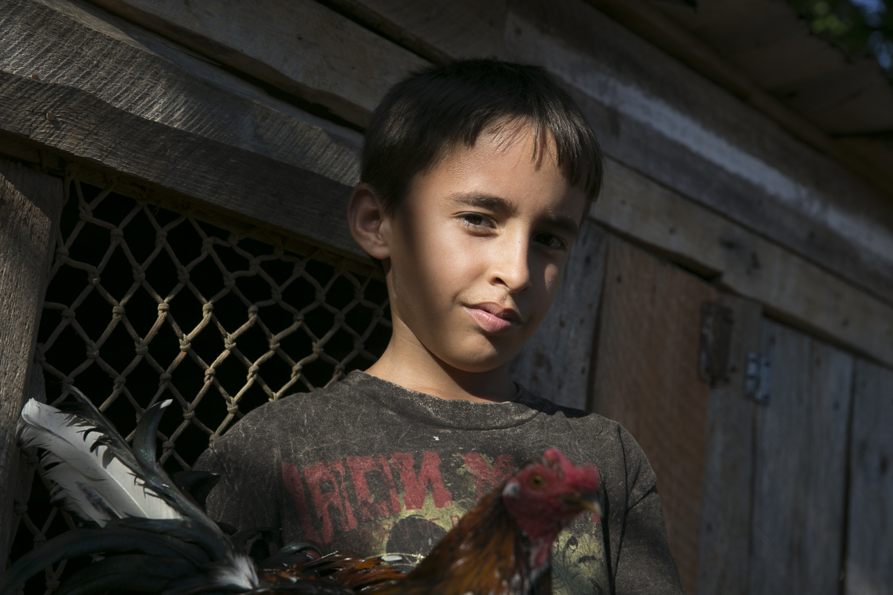 Boy With Rooster - Color Print - Name Withheld Per Request