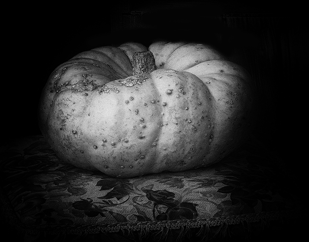 Pumpkin on Chair - Digital(Monochrome) - Larry Syverud