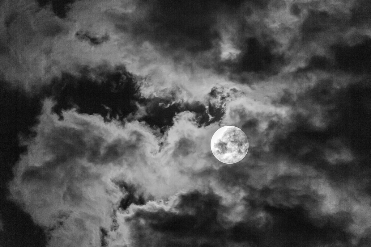 Spooky Moon - Digital(Monochrome) - Name Withheld Per Request