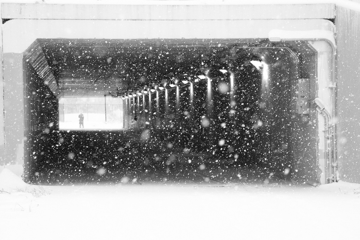 Portal Under 35W - Digital(Monochrome) - Name Withheld Per Request