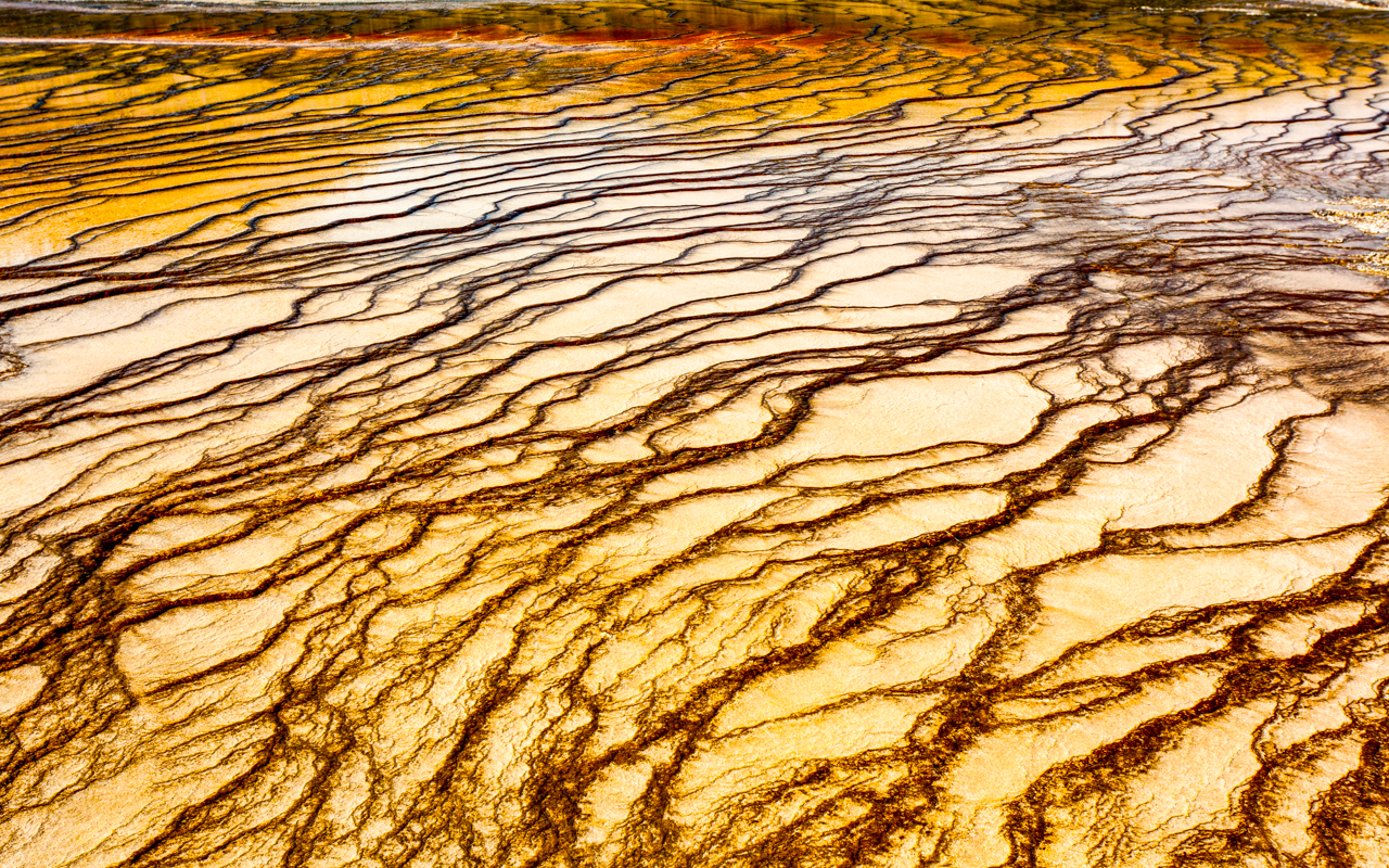 Geyser Basin Yellowstone National Park Park - Digital(Patterns) - Joe Schufman