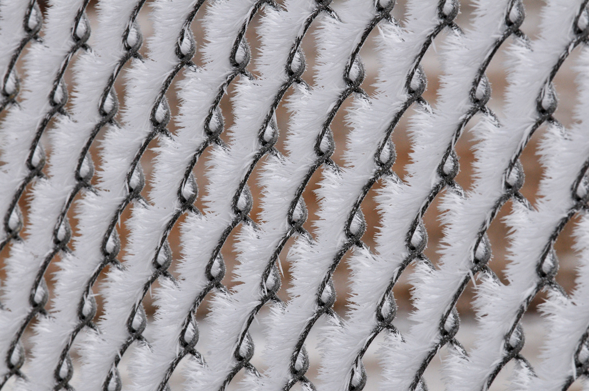 Hoar Frost on Fence - Digital(Patterns) - Name Withheld Per Request