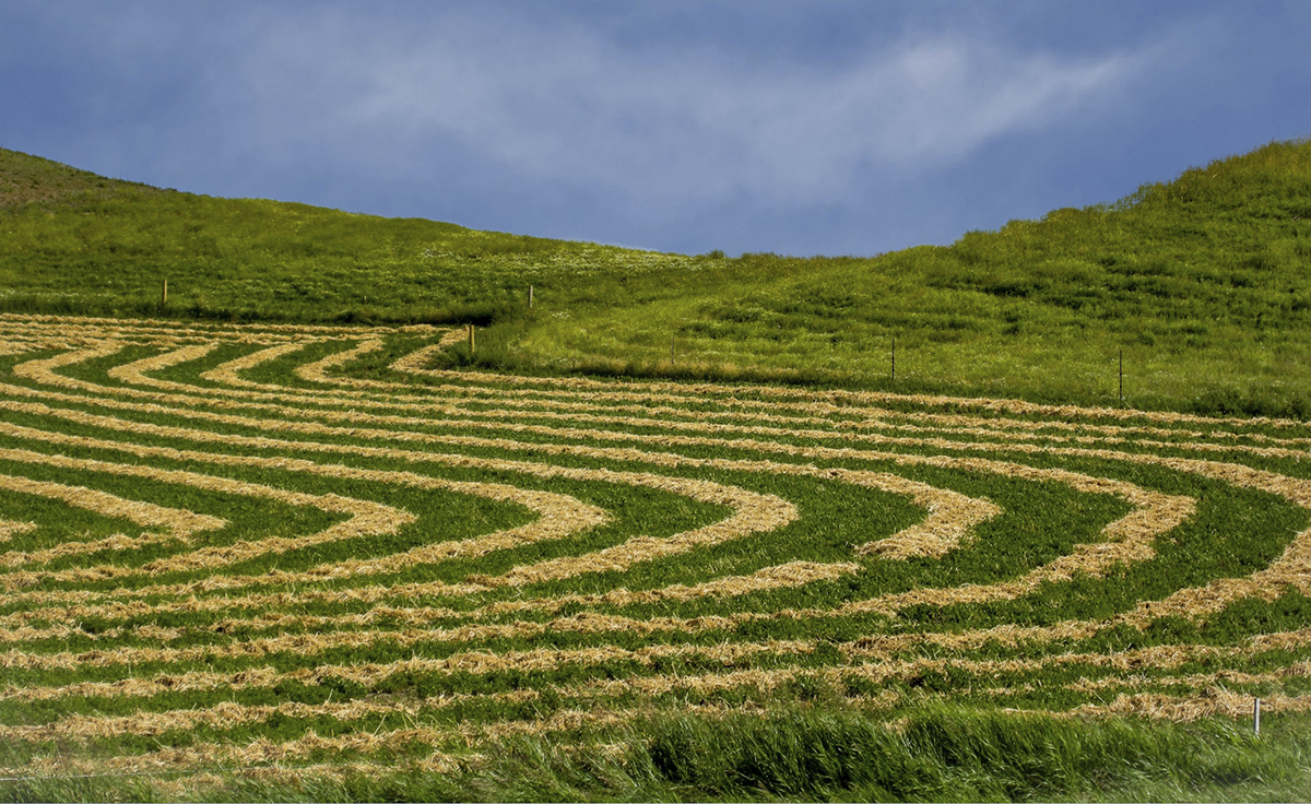 Windrow - Digital(Patterns) - Name Withheld Per Request