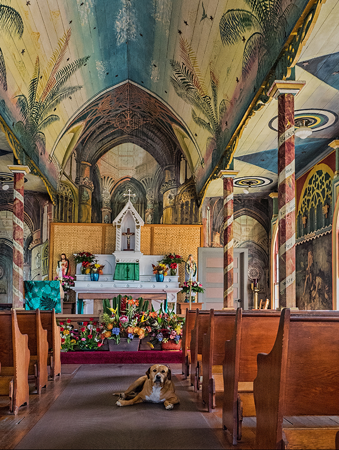 Resident of St. Benedict's - Color Print - Name Withheld Per Request