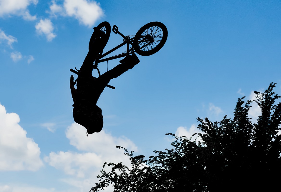 Flying High - Digital(Silhouette) - Name Withheld Per Request