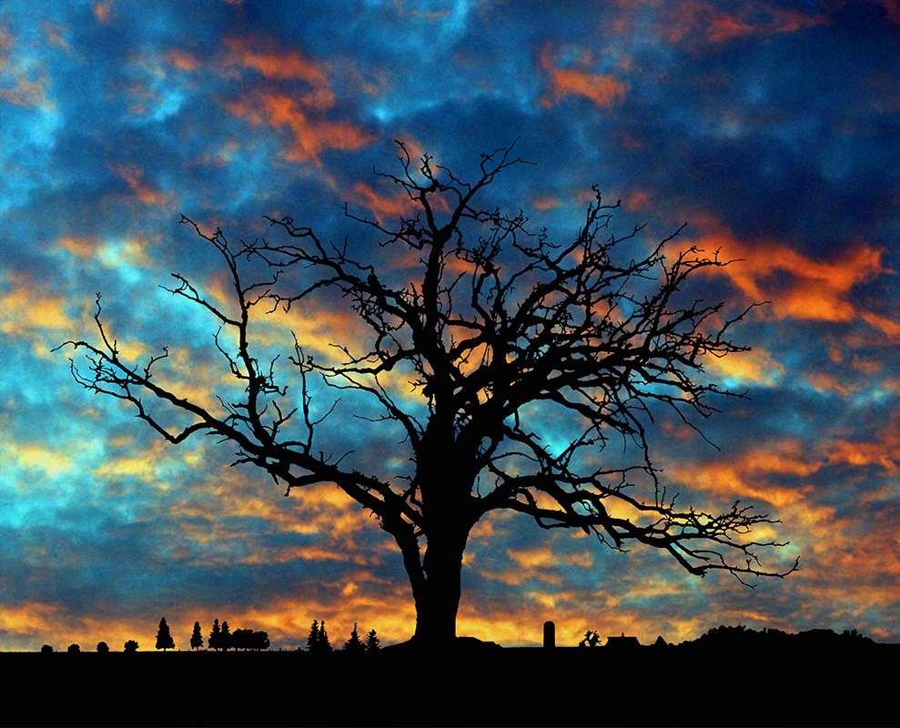 Rural Evening - Digital(Silhouette) - Larry Syverud
