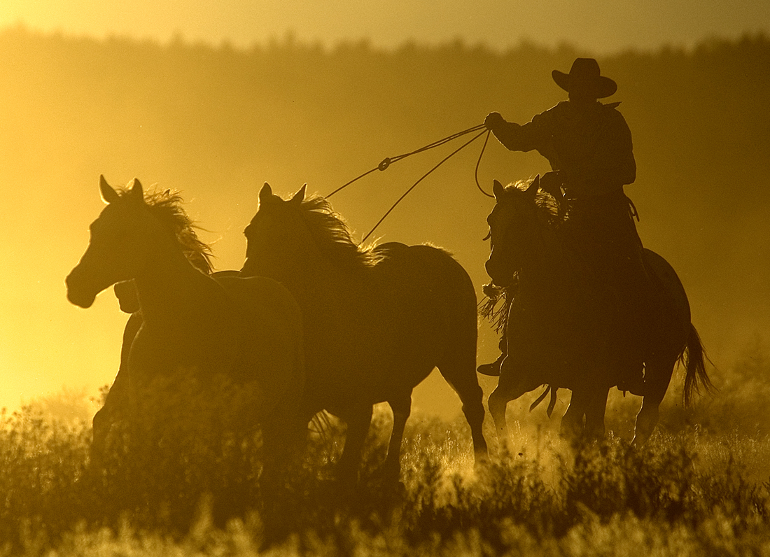 Sunset Round Up - Digital(Silhouette) - Name Withheld Per Request