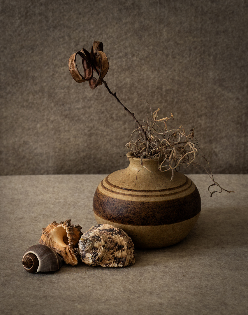 Shells with Small Vase- Digital (Open)