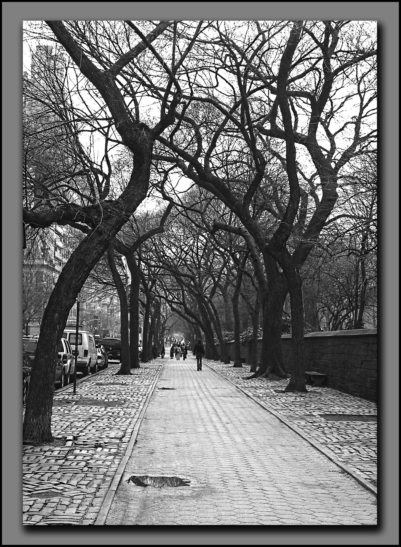 Central Park Walkway, NYC - Digital (Open Monochrome)