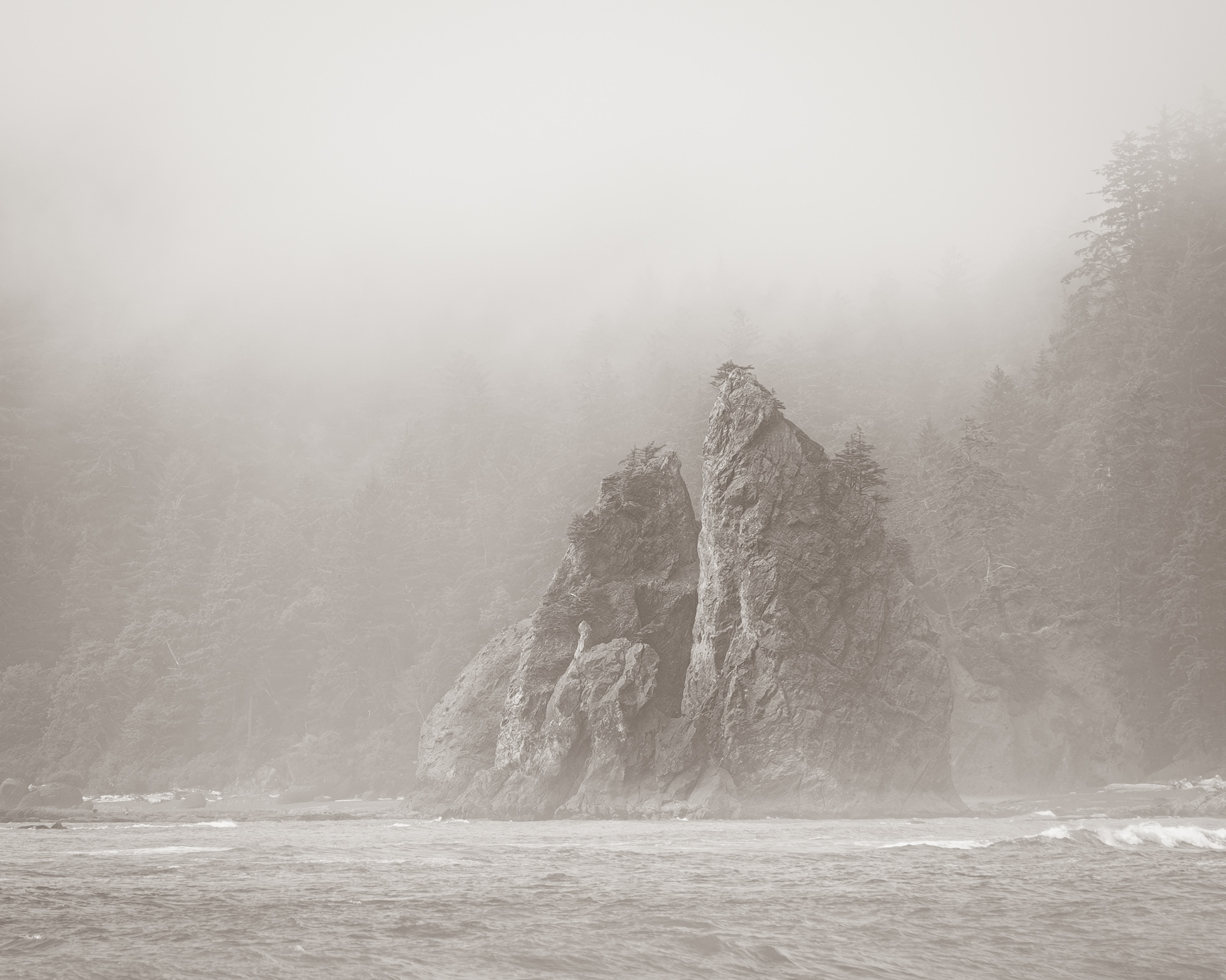 Fog at Rialto Beach - Digital (Open Monochrome)